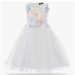 Cielarko Children Girl Dress Butterfly Flower Embroidery Formal size 4-5 NWT